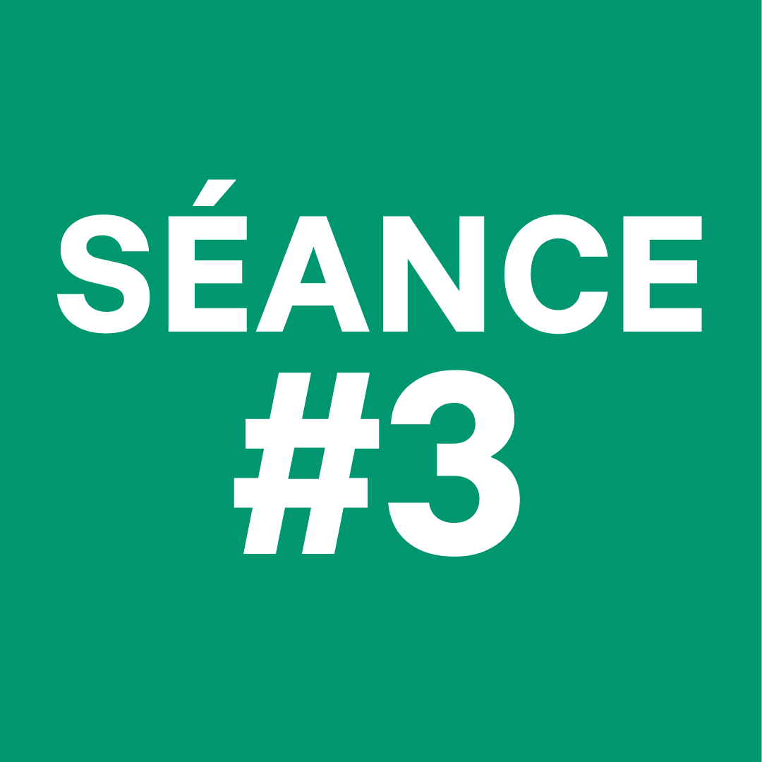 Image de l'article SÉANCE #3 - samedi - 21h